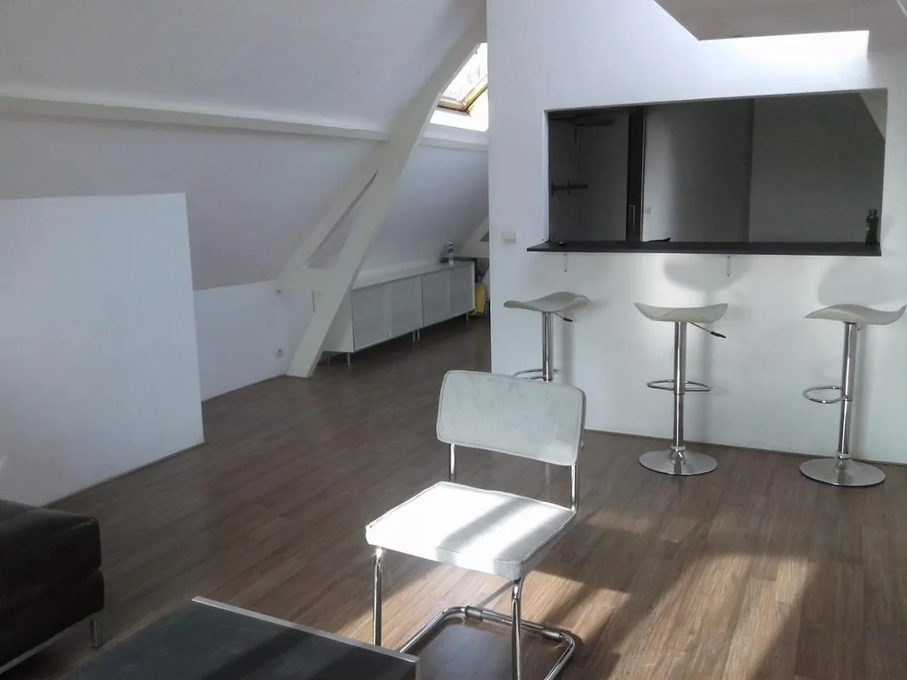 Mycitylofts - Schiedamseweg Rotterdam